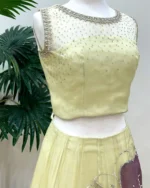 Pistachio Green Crop Top Lehenga with Floral Applique - Image 2