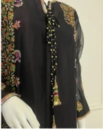 Hand-Embroidered Sheer Suit with Tassel Closure - Image 3