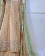 Champagne Net Anarkali Frock Sequin Lines And Mint Green Dupatt - Image 2