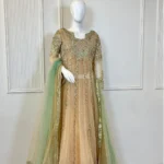 Champagne Net Anarkali Frock Sequin Lines And Mint Green Dupatt