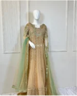 Champagne Net Anarkali Frock Sequin Lines And Mint Green Dupatt