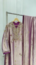 Tissue Silk Suit with Zardozi And Pearl Moti Back - Image 4