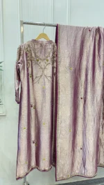 Tissue Silk Suit with Zardozi And Pearl Moti Back