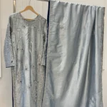 Shimmer Tissue Suit with Resham Vine And Moti Work