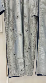 Shimmer Tissue Suit with Resham Vine And Moti Work - Image 2